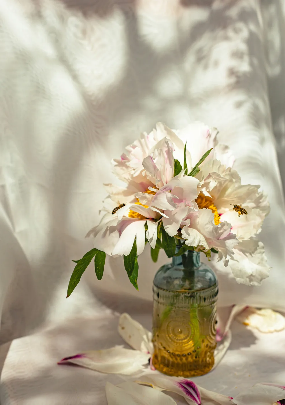 Pivoines dans un vase, baignées de lumière