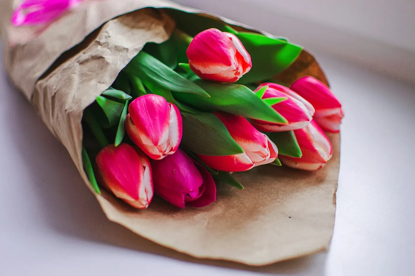 Tulipes roses emballées dans du papier